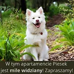 & Bike - Pod Sniezka *