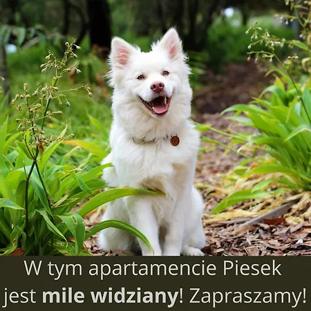 & Bike - Pod Sniezka *