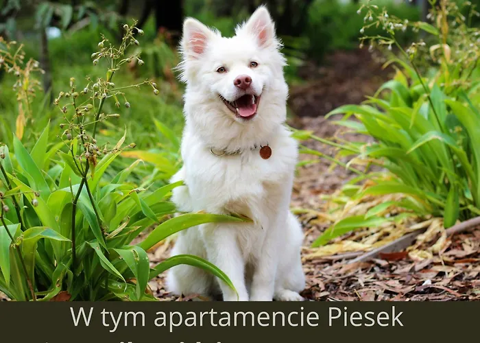 & Bike - Pod Sniezka *